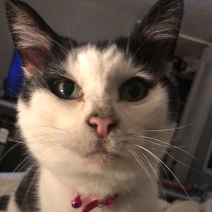 Meet your Posher, Danielle